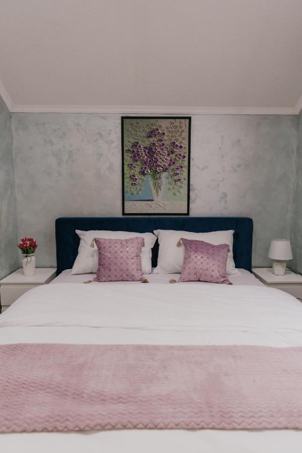 Sunrise Riverside House Celarevo Luaran gambar