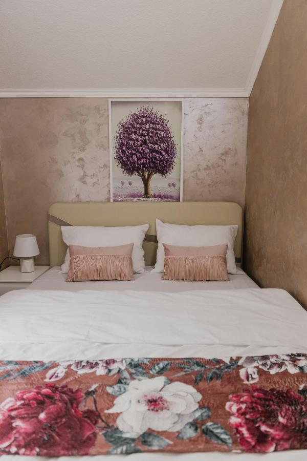Sunrise Riverside House Celarevo Luaran gambar